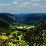 Black Forest Luxury Baerenhoehle Mit Sauna * Schluchsee