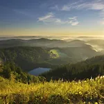 Lejlighed Black Forest Luxury Baerenhoehle Mit Sauna