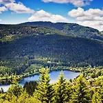 Black Forest Luxury Baerenhoehle Mit Sauna * Schluchsee