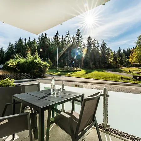 Appartement Black Forest Luxury Baerenhoehle Mit Sauna Schluchsee
