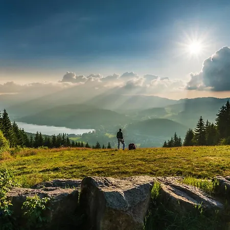 Black Forest Luxury Baerenhoehle Mit Sauna Lejlighed Schluchsee