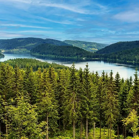 Black Forest Luxury Baerenhoehle Mit Sauna