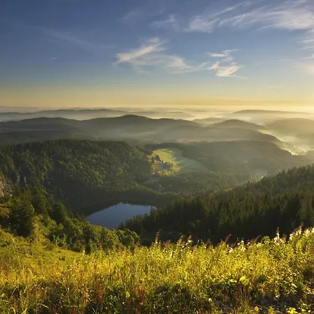 Appartement Black Forest Luxury Baerenhoehle Mit Sauna