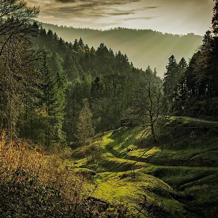 Black Forest Luxury Baerenhoehle Mit Sauna Schluchsee