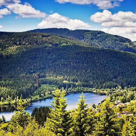 Black Forest Luxury Baerenhoehle Mit Sauna * Schluchsee